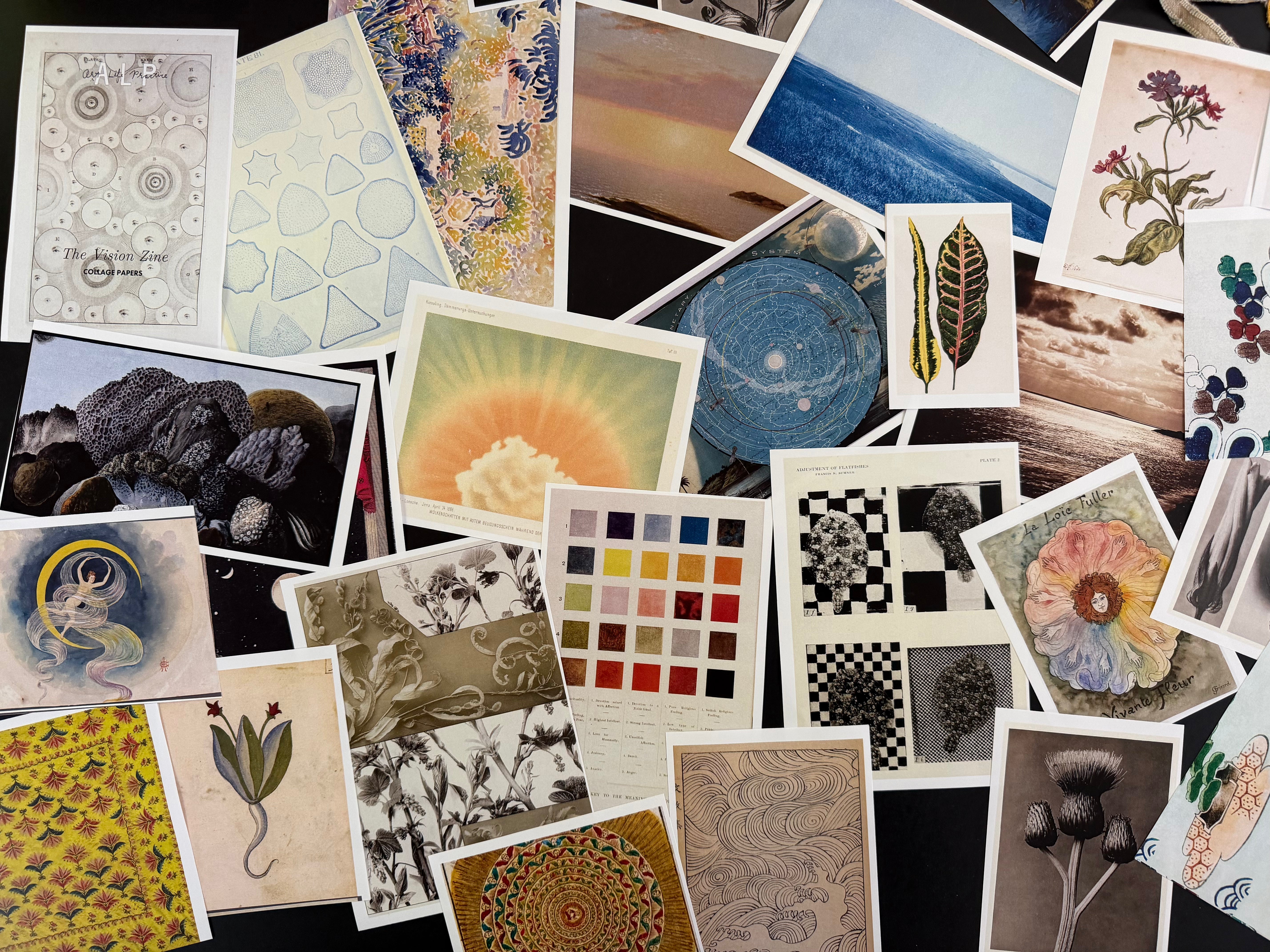 The Vision Zine Set – Craft & Bloom